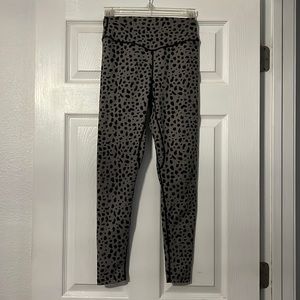 Kingdom Collection Ascend Pant